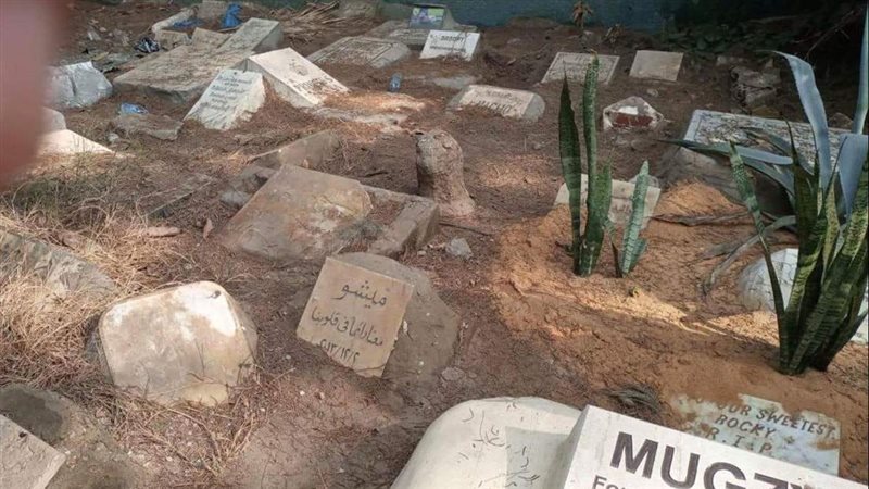 دفن الحيوانات