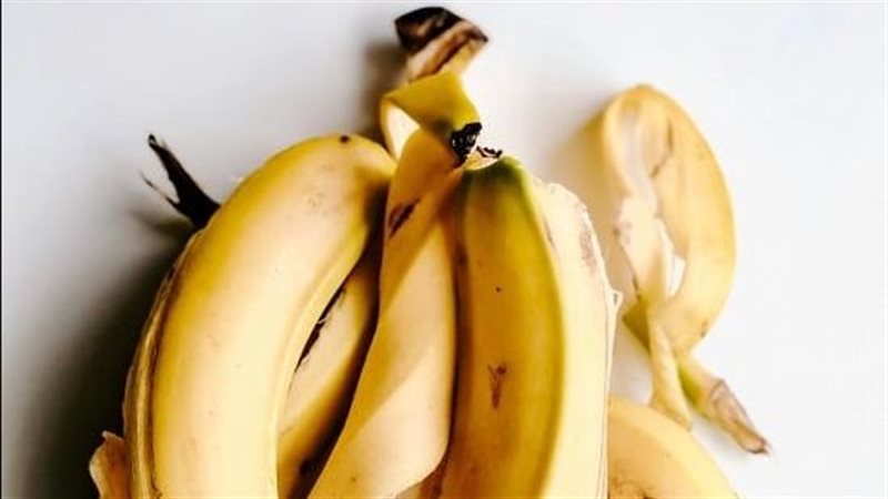قشر الموز