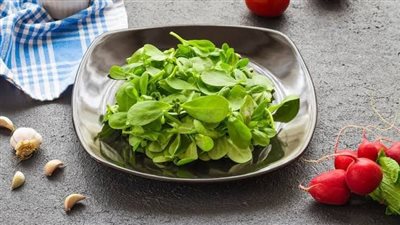 فوائد صحية مذهلة.. سحر نبتة البقلة الطبيعة لمرضى السكري