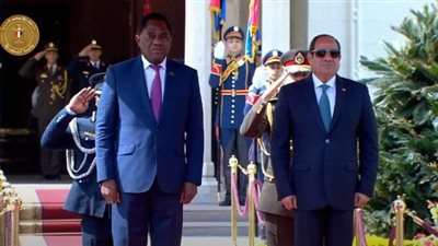 الرئيس السيسي ونظيره الزامبى يبحثان تعزيز العلاقات الثنائية بين البلدين