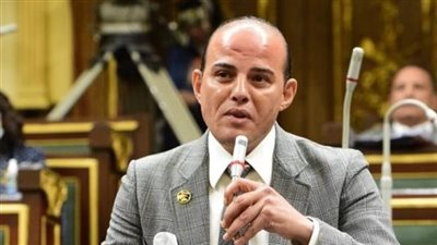 نائب يحذر من المنصات الإلكترونية الوهمية: تستقطب من يحلم بالثراء السريع