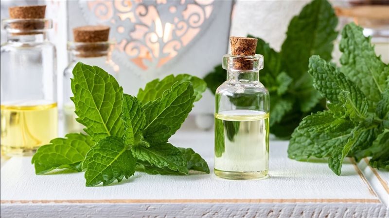 علاج الجيوب الأنفية