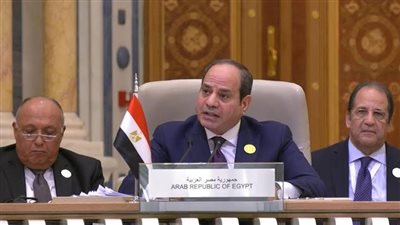 أبرز ما جاء بكلمة الرئيس السيسي ف الجلسة الافتتاحية للقمة العربية الطارئة 