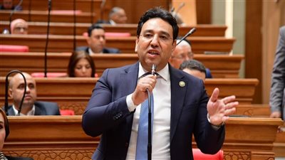 أيمن محسب: استقرار السودان جزءا لا يتجزأ من استقرار الأمن القومي المصري