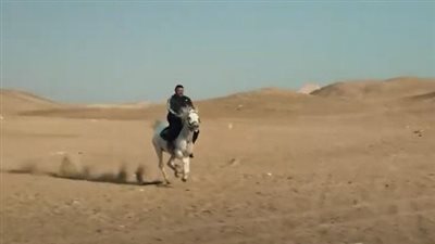 على خطى فهد البطل.. فوائد مذهلة لركوب الخيل للأطفال