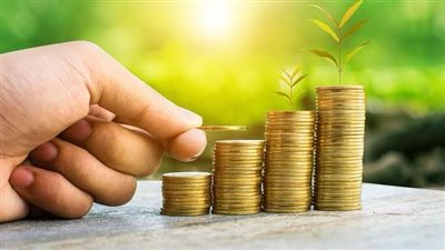 من يستحقها وما مقدارها.. الفرق بين زكاة الفطر وزكاة المال والصدقة