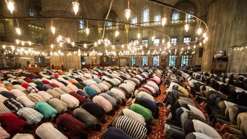 القارئ نيوز