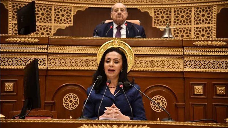 وزيرة التضامن