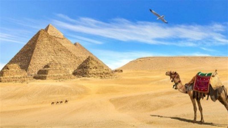 القاهرة