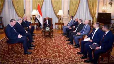 وزير الخارجية يشدد على موقف مصر الداعم للسلطة الفلسطينية ورفض المحاولات الإسرائيلية