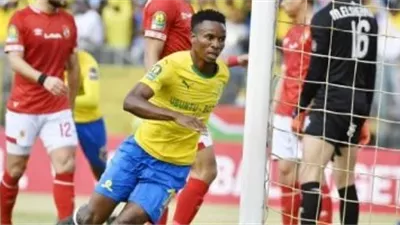 الورقة الرابحة تعود.. زواني يجهز نفسه لمعركة الأهلي وصنداونز