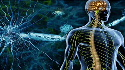 التصلب المتعدد.. العدو الخفي للجهاز العصبي| إليك أبرز الأعراض وطرق العلاج