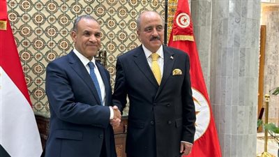 عبد العاطي والنفطي يبحثان ملفات الهجرة والإرهاب والأمن القومي العربي