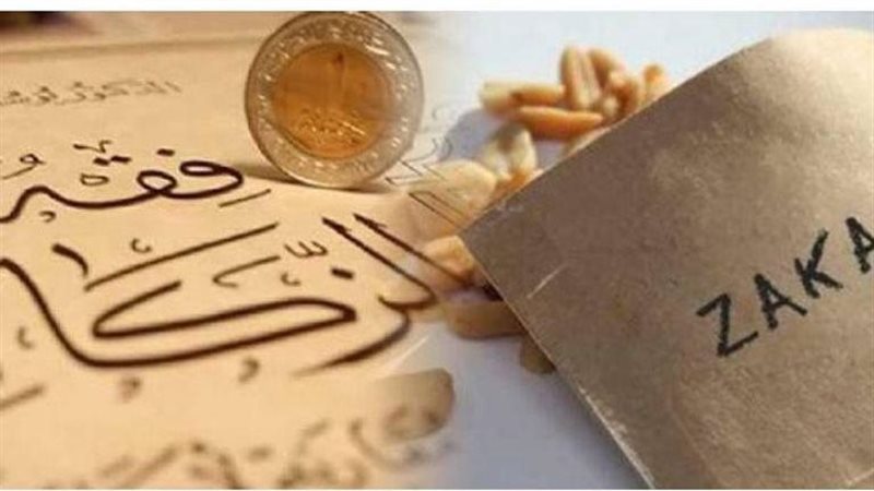 زكاة الفطر