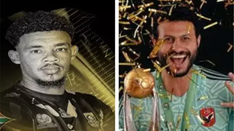 القارئ نيوز