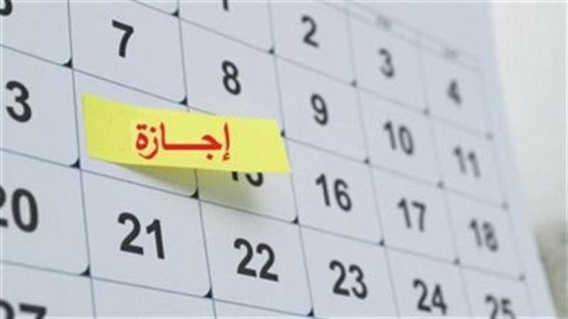 القارئ نيوز