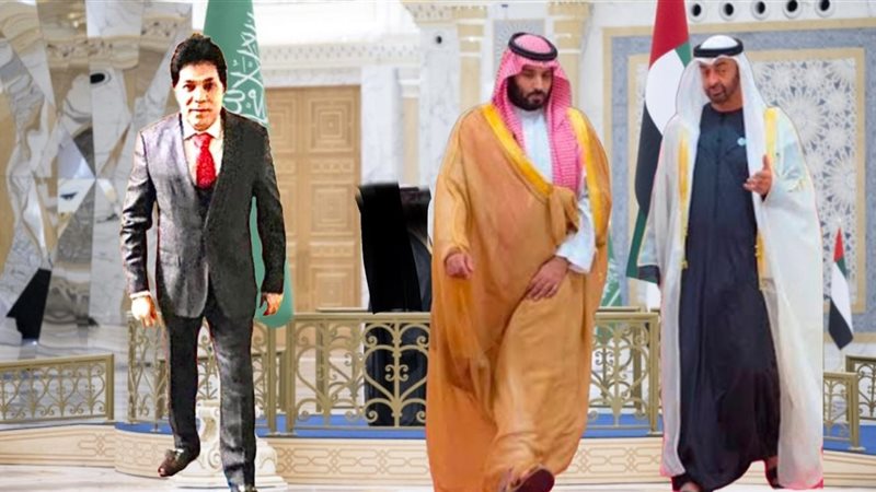 القارئ نيوز