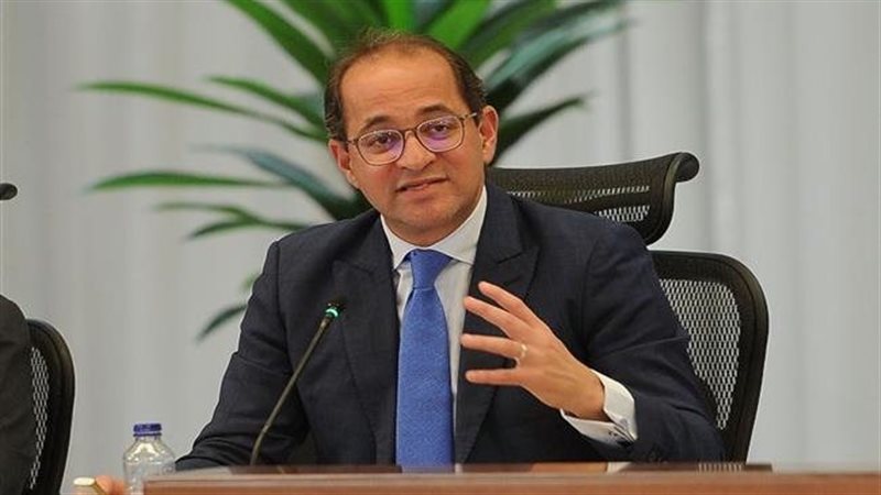 وزير المالية