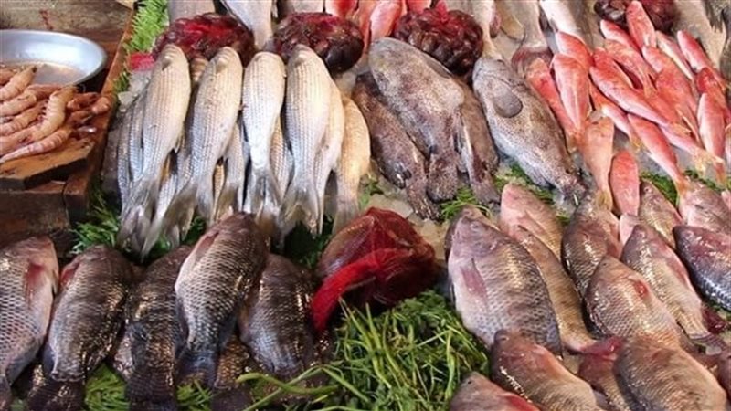 اسعار السمك