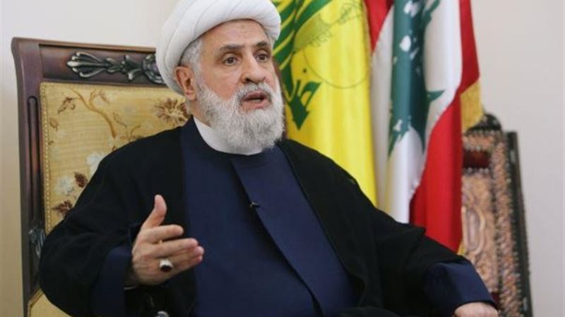 القارئ نيوز