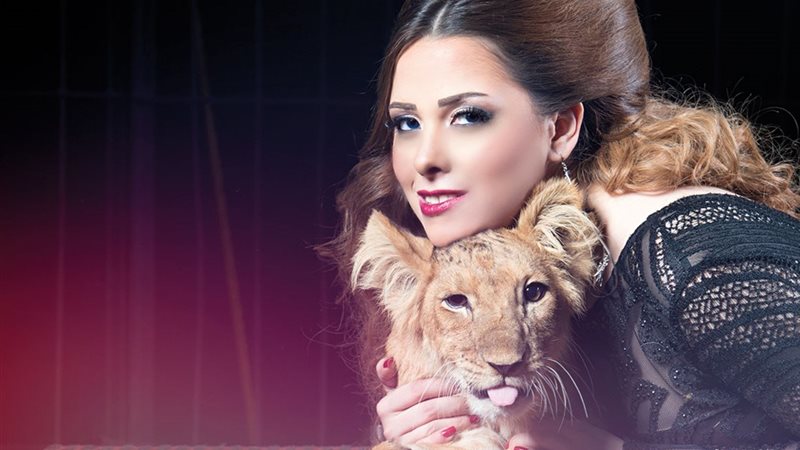 القارئ نيوز