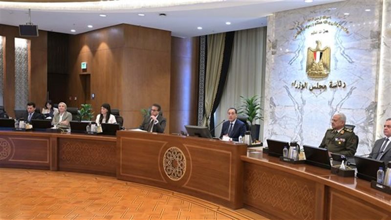 القارئ نيوز