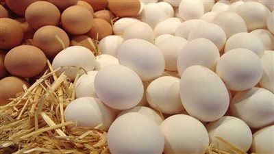 أسعار البيض والدواجن في الأسواق اليوم الأحد 6 يوليو 2025