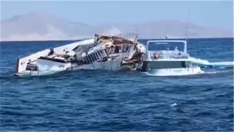القارئ نيوز