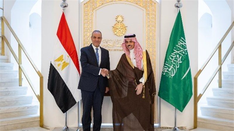 القارئ نيوز