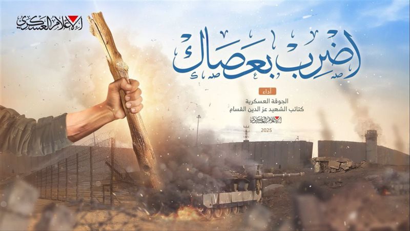 القارئ نيوز
