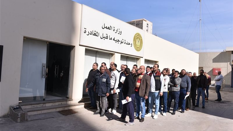 القارئ نيوز