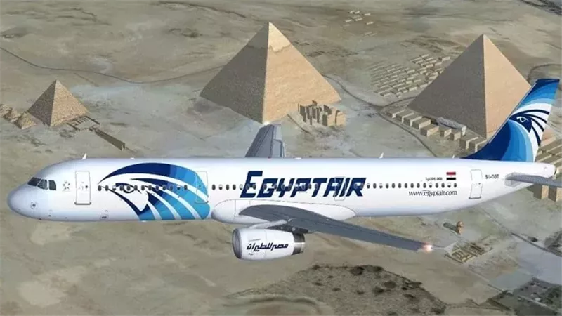 القارئ نيوز