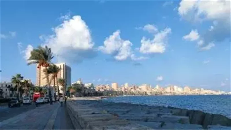 القارئ نيوز