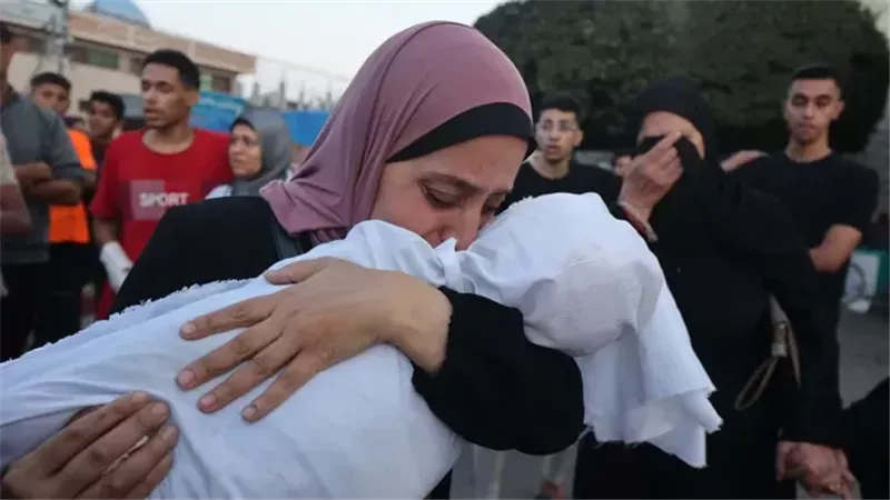 القارئ نيوز