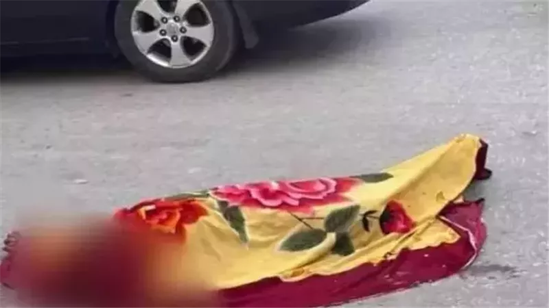 القارئ نيوز