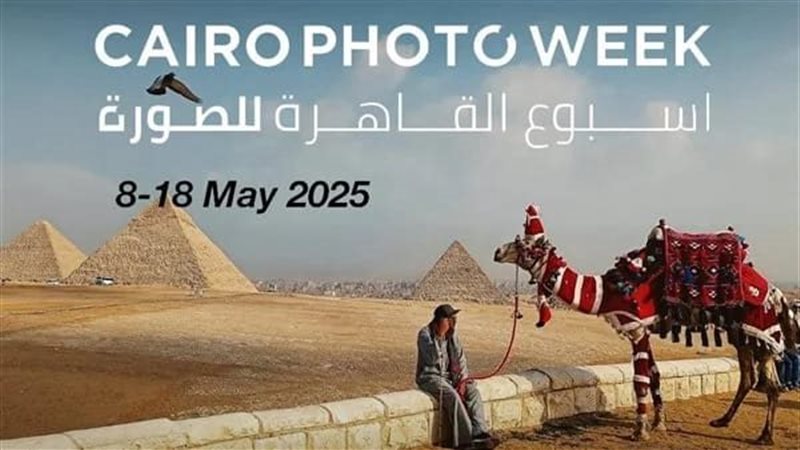 القارئ نيوز