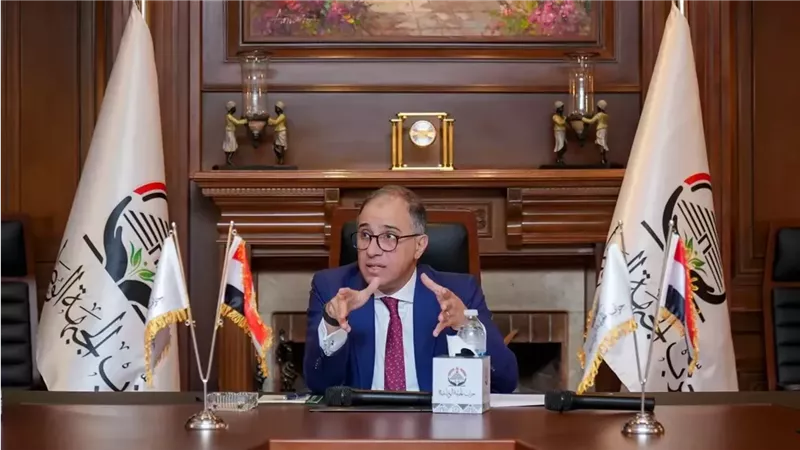 القارئ نيوز