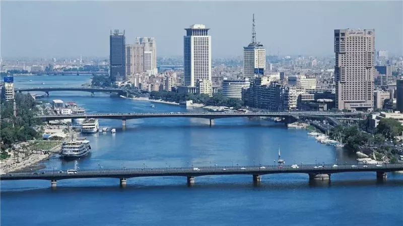 القارئ نيوز
