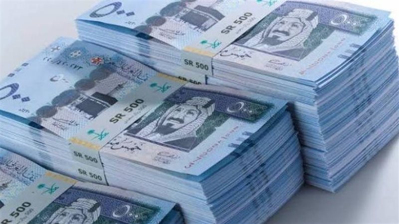 القارئ نيوز