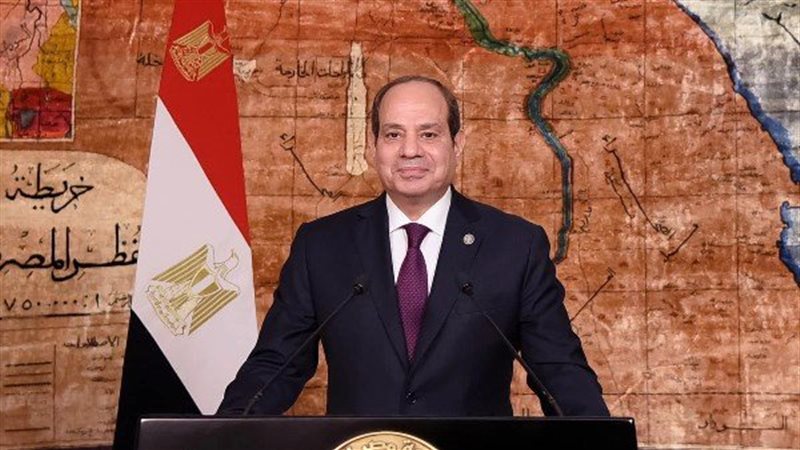 القارئ نيوز