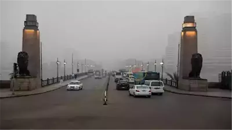 القارئ نيوز