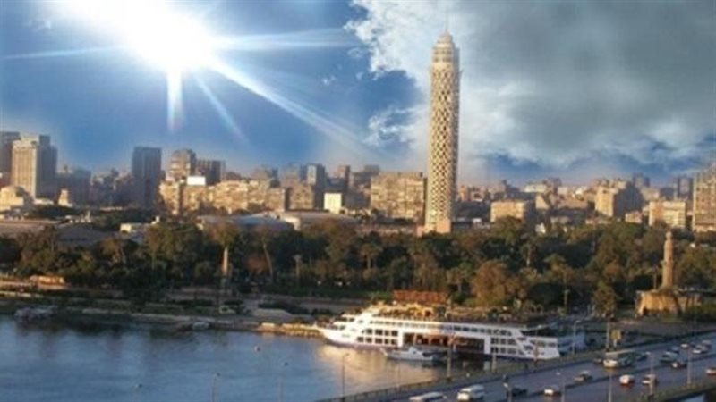 القارئ نيوز