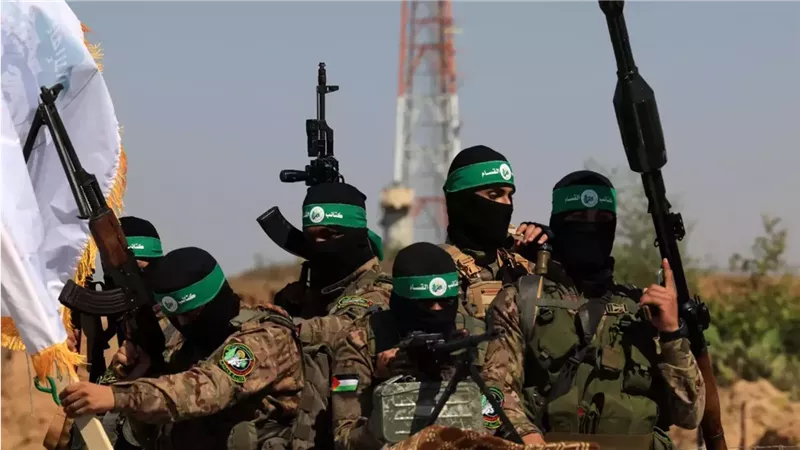 القارئ نيوز