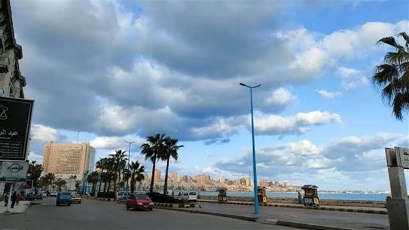 القارئ نيوز