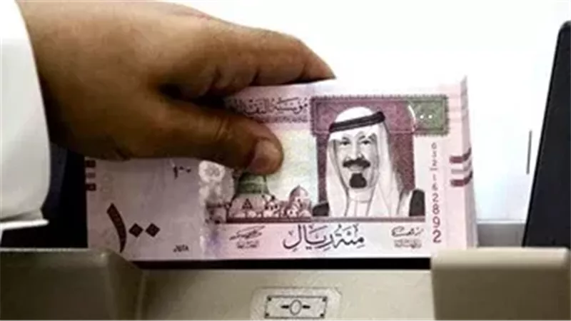 القارئ نيوز