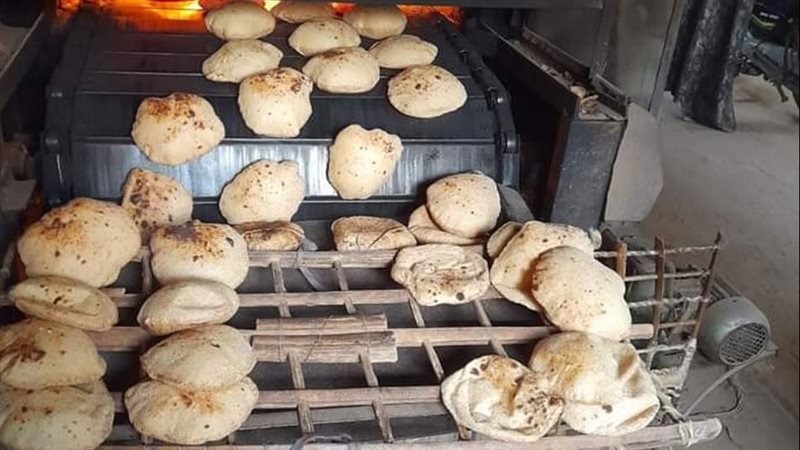القارئ نيوز