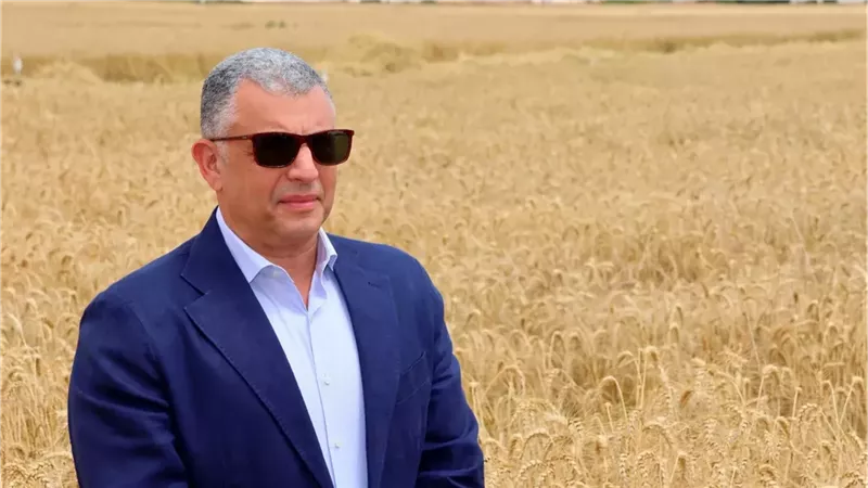 القارئ نيوز