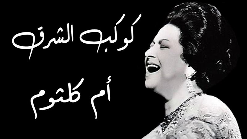 القارئ نيوز