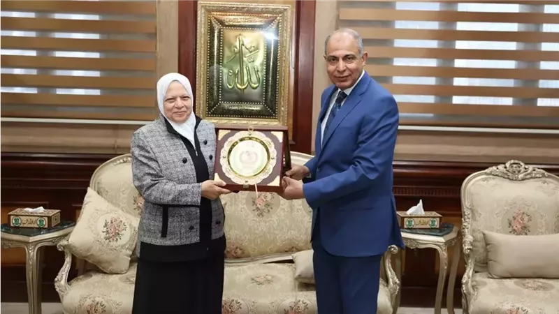 القارئ نيوز