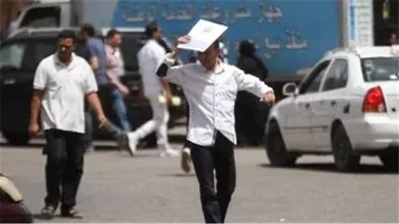 القارئ نيوز